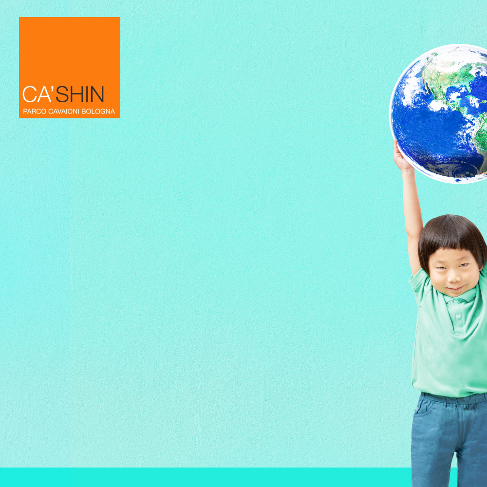 Bilancio Sociale 2024